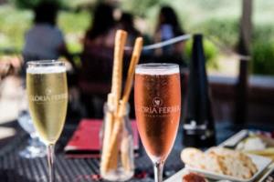 俄罗斯英超联赛积分榜,一场激情与竞争的盛宴俄罗斯英超联赛积分榜