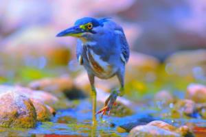 英超联赛平局率,数据背后的故事英超联赛的平局率有多高