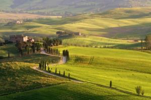 英超联赛门将后空翻是谁?解析英超历史上最精彩的扑救瞬间英超联赛门将后空翻是谁